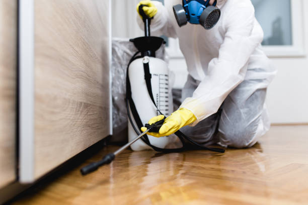 Best Local Pest Control Services  in Remerton, GA