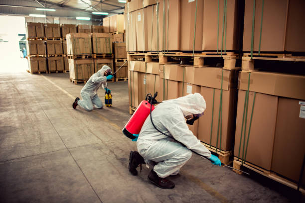 Best Pest Inspection Near Me  in Remerton, GA