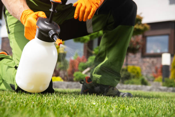 Best Pest Control for Restaurants  in Remerton, GA