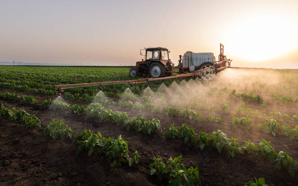 Reliable Remerton, GA Pest Control Solutions