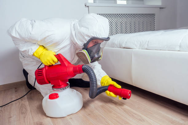 Best Wildlife Control Services  in Remerton, GA