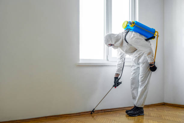 Pest Control for Restaurants in Remerton, GA