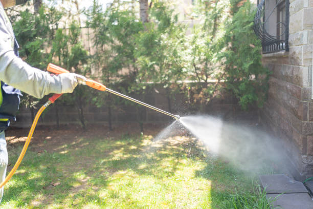 Best Affordable Pest Control Services  in Remerton, GA